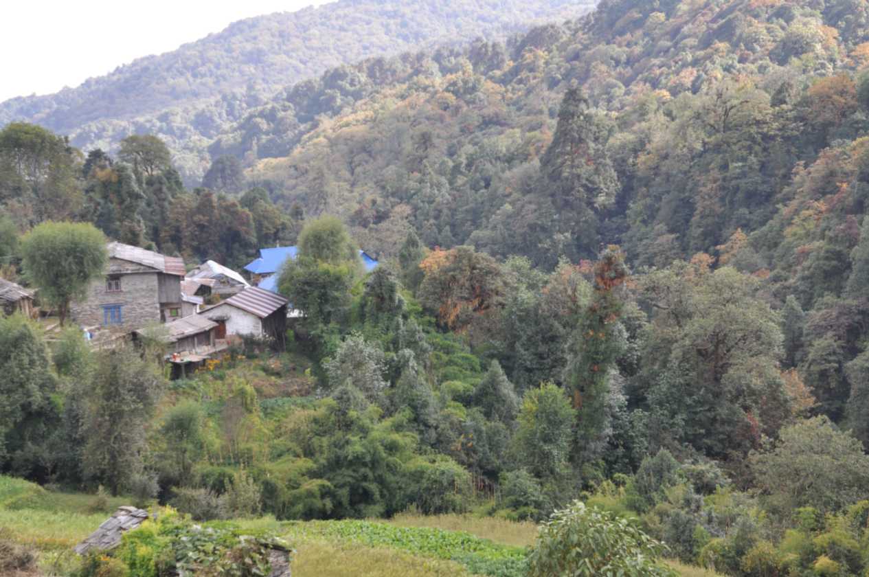 08-036 Thike Dhunga-Ghorepani