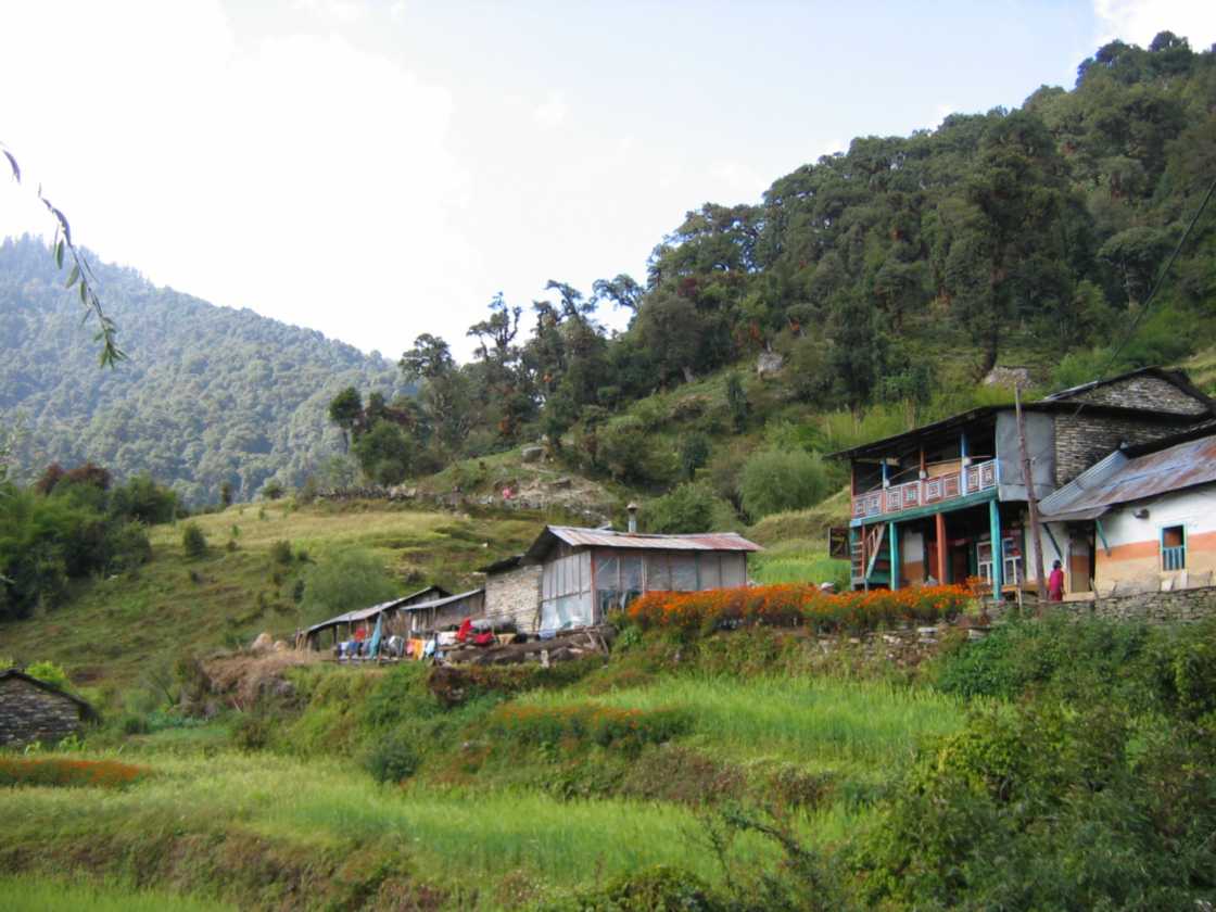 08-037 Thike Dhunga-Ghorepani