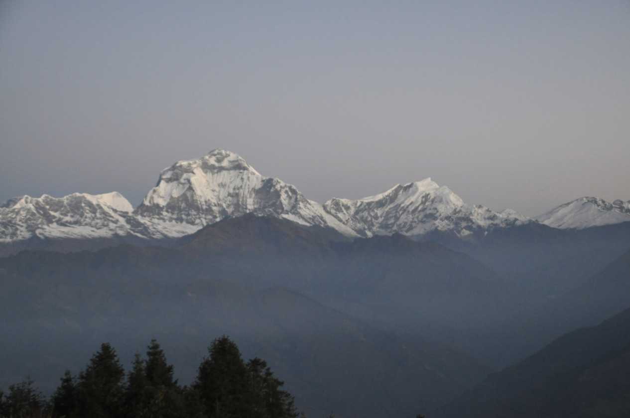 09-007 Ghorepani-Tadapani