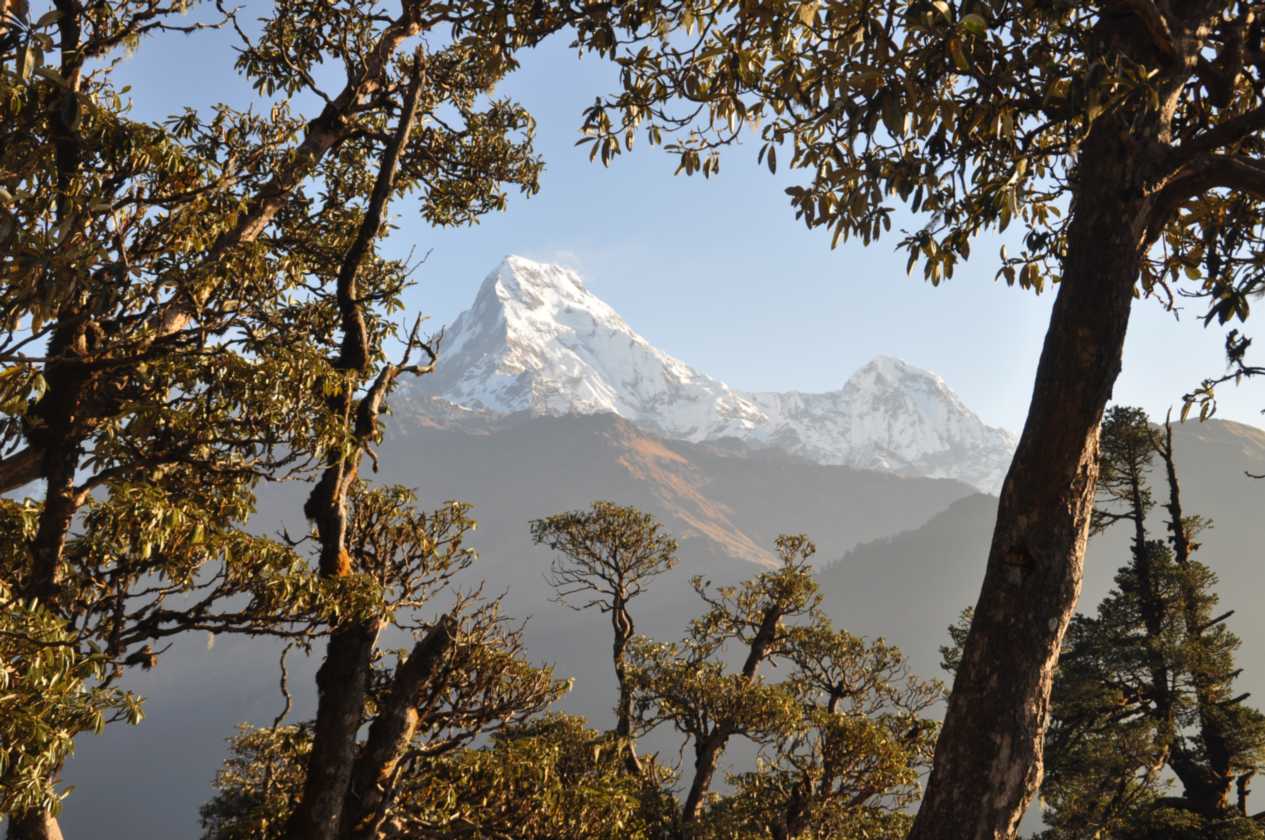 09-032 Ghorepani-Tadapani