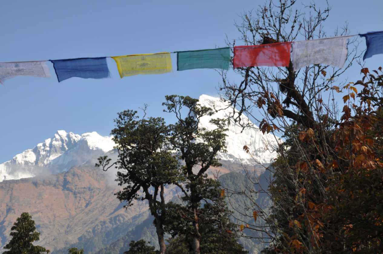 09-044 Ghorepani-Tadapani