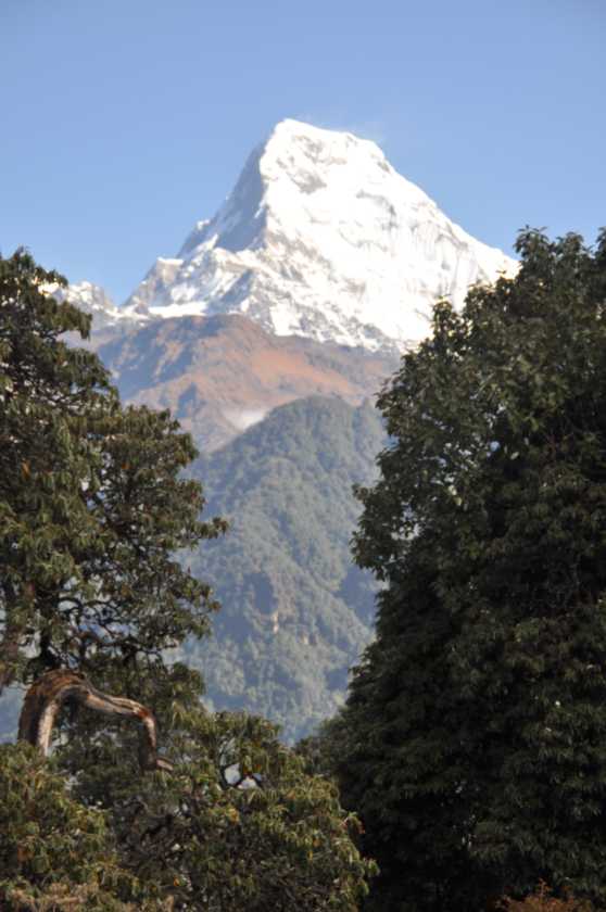 09-045 Ghorepani-Tadapani