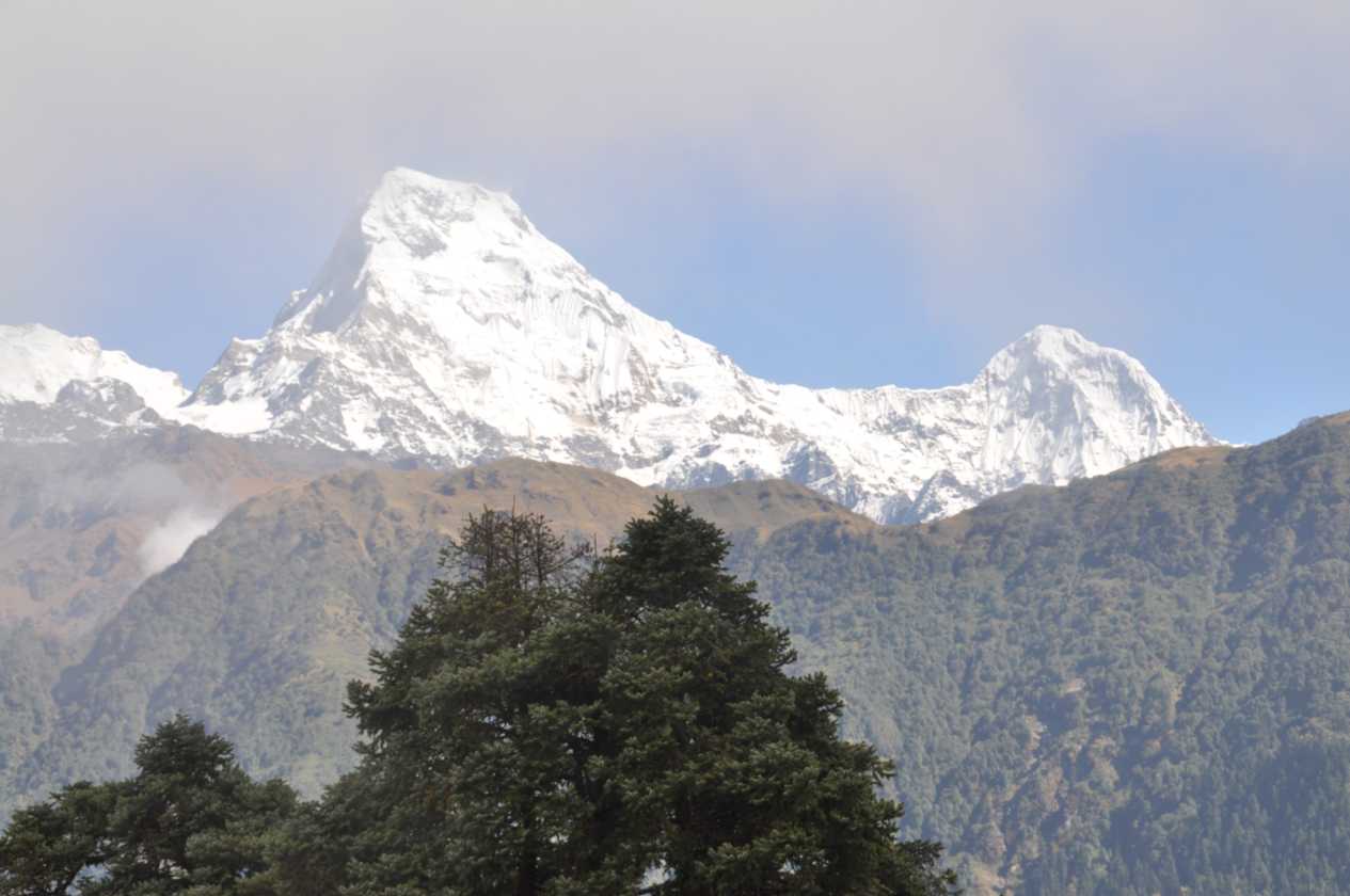 09-050 Ghorepani-Tadapani