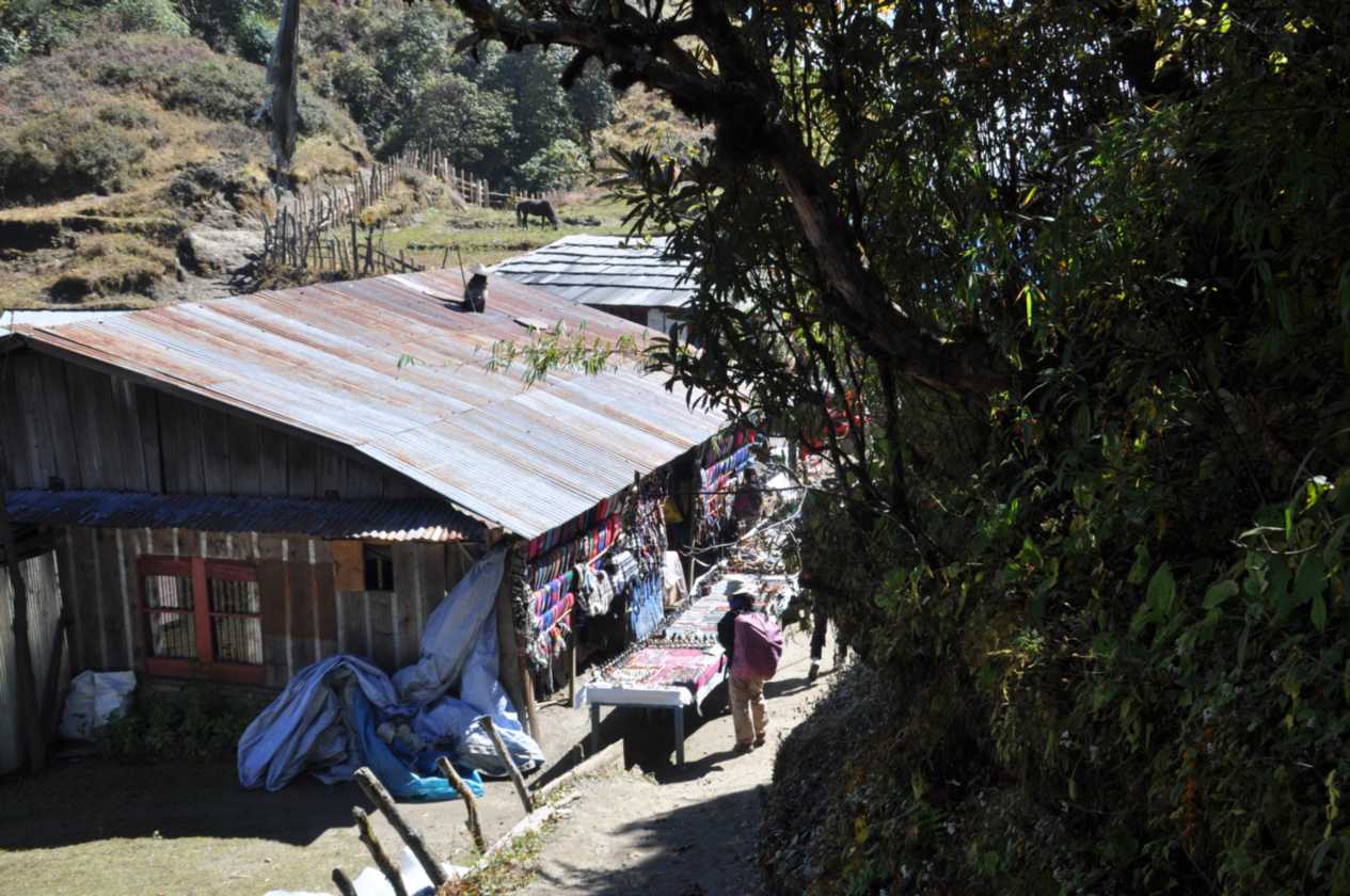 09-055 Ghorepani-Tadapani