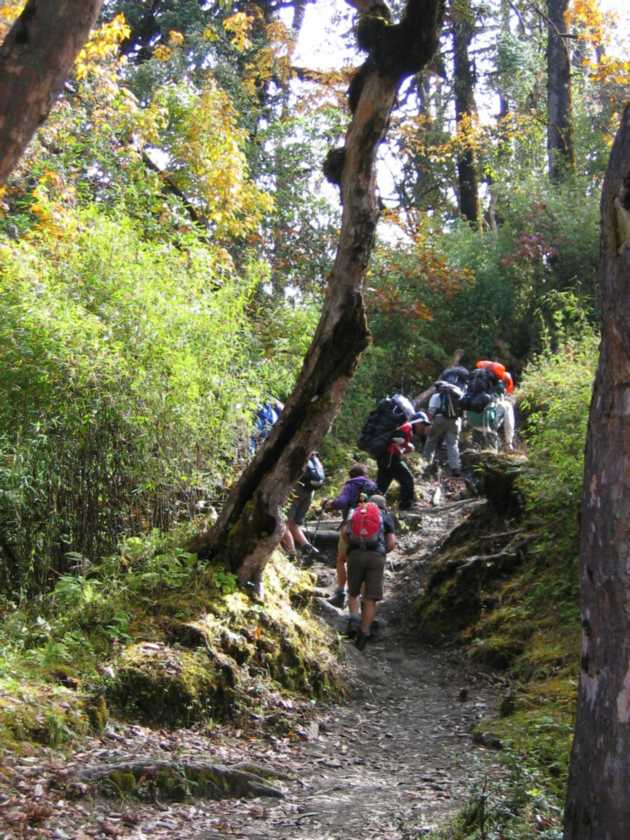 09-058 Ghorepani-Tadapani