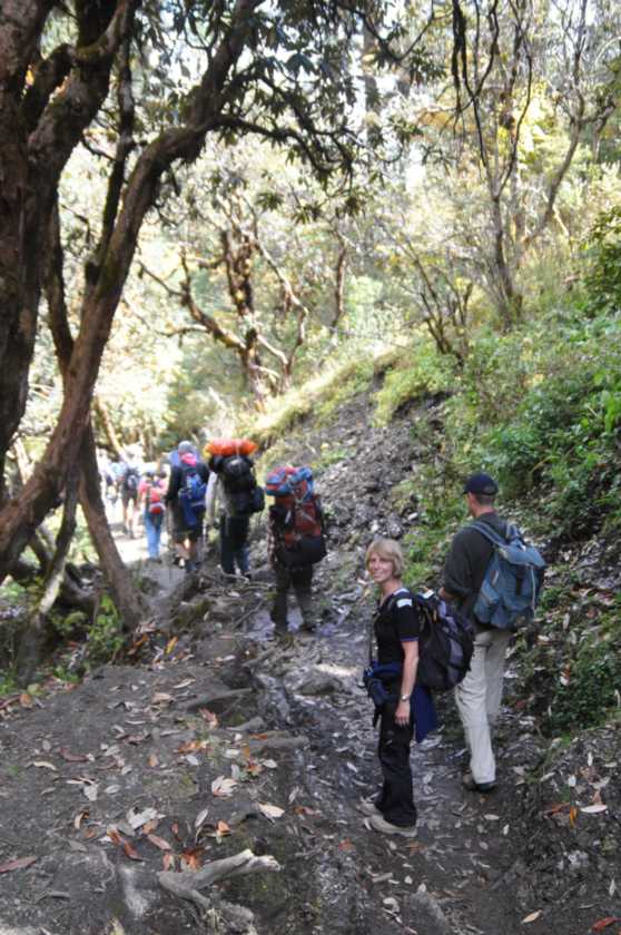 09-059 Ghorepani-Tadapani