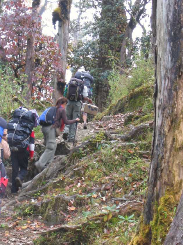 09-062 Ghorepani-Tadapani