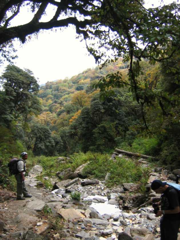 09-063 Ghorepani-Tadapani