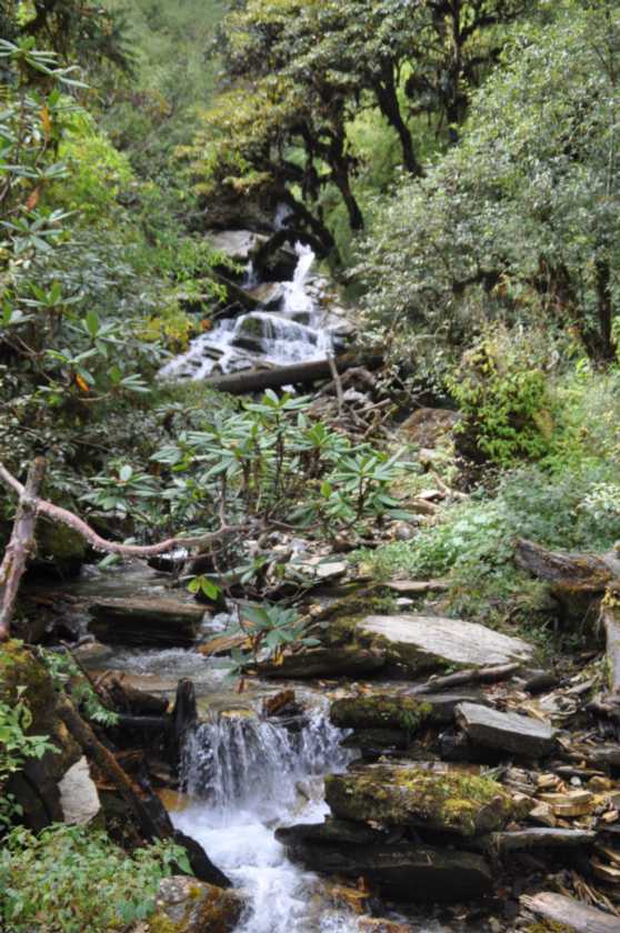 09-066 Ghorepani-Tadapani