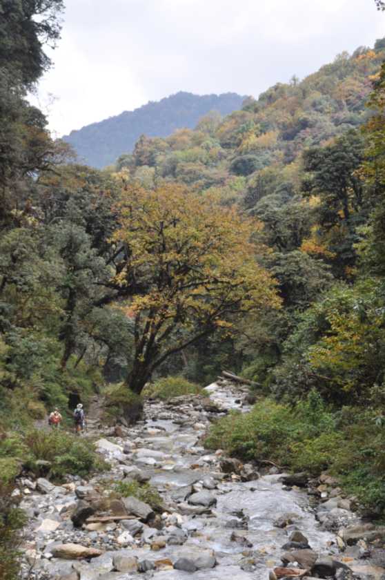 09-070 Ghorepani-Tadapani