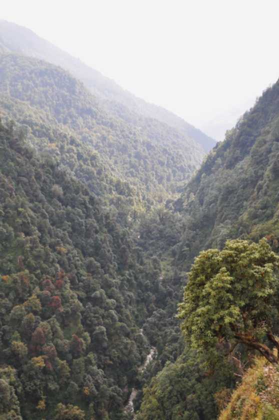 09-072 Ghorepani-Tadapani