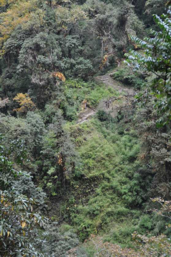 09-073 Ghorepani-Tadapani