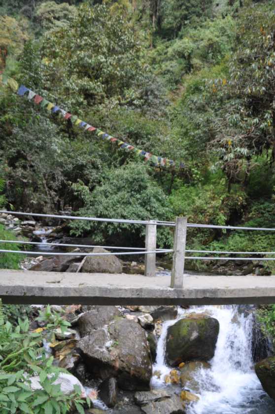09-074 Ghorepani-Tadapani