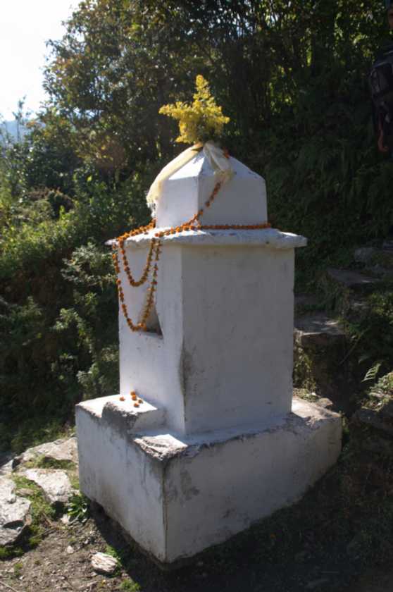 10-024 Tadapani-Chomrong