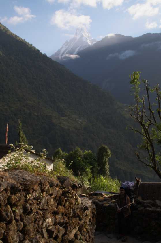 11-010 Chomrong-Himalaya