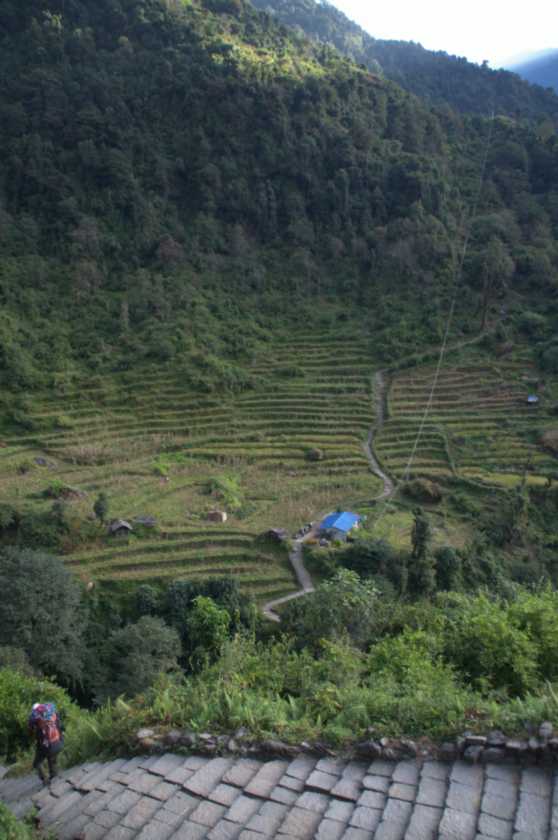 11-014 Chomrong-Himalaya