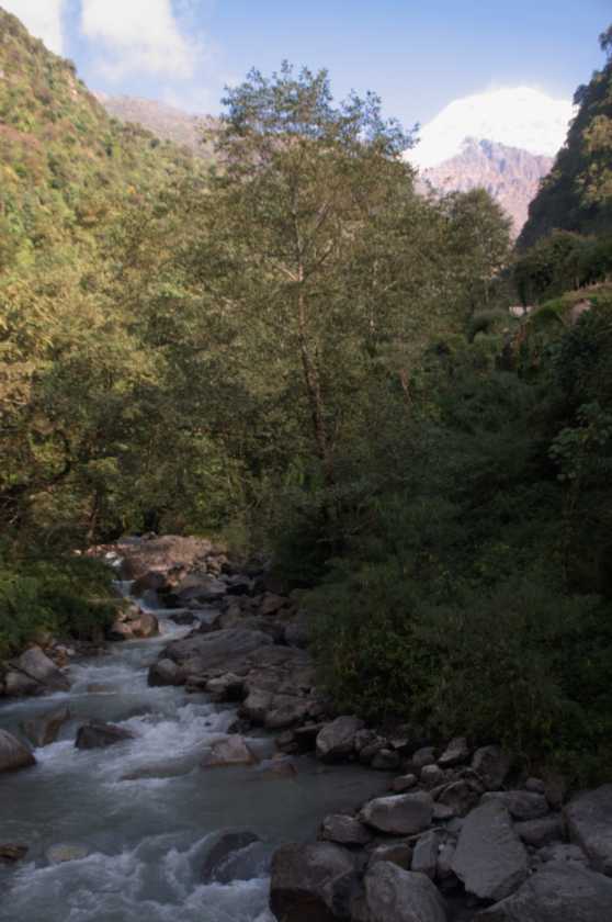 11-018 Chomrong-Himalaya