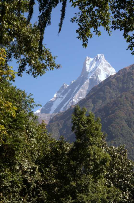 11-035 Chomrong-Himalaya