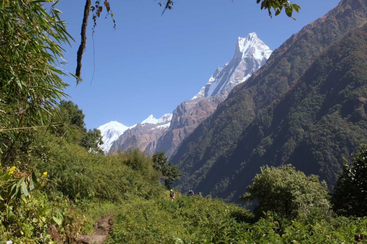 11-037 Chomrong-Himalaya