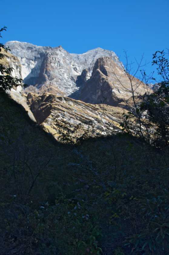 12-005 Himalaya-MBC