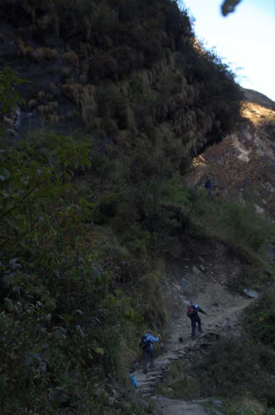 12-007 Himalaya-MBC