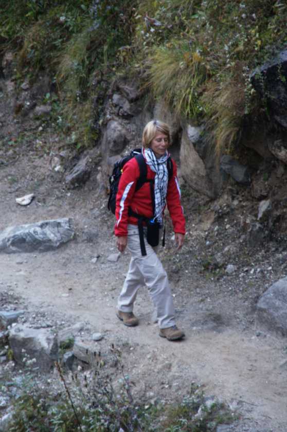 12-010 Himalaya-MBC