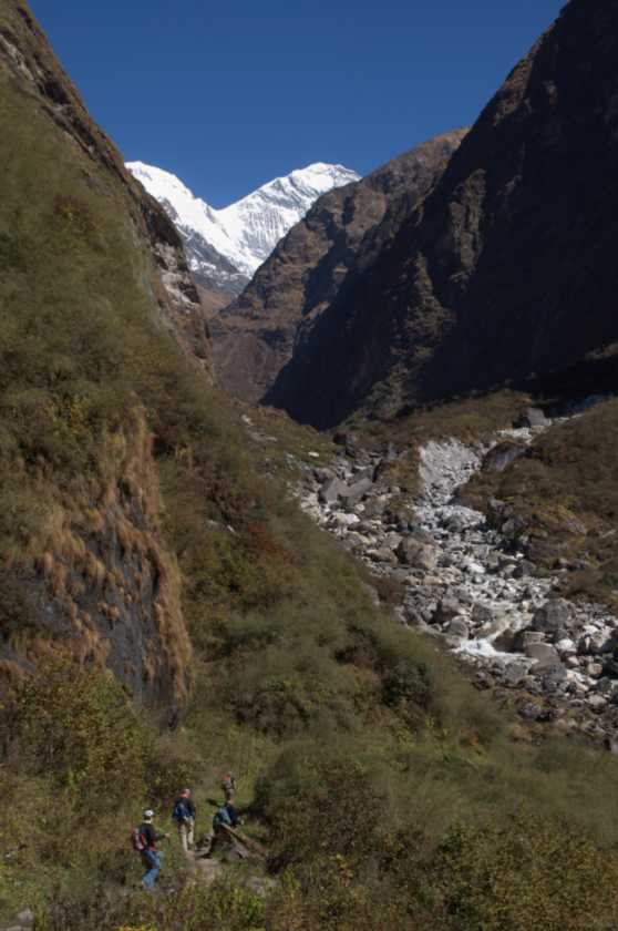 12-028 Himalaya-MBC