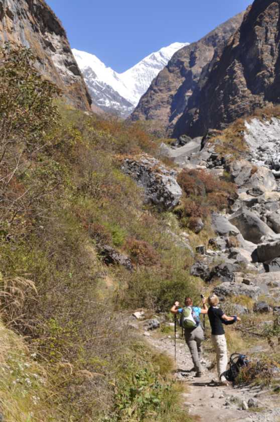 12-032 Himalaya-MBC