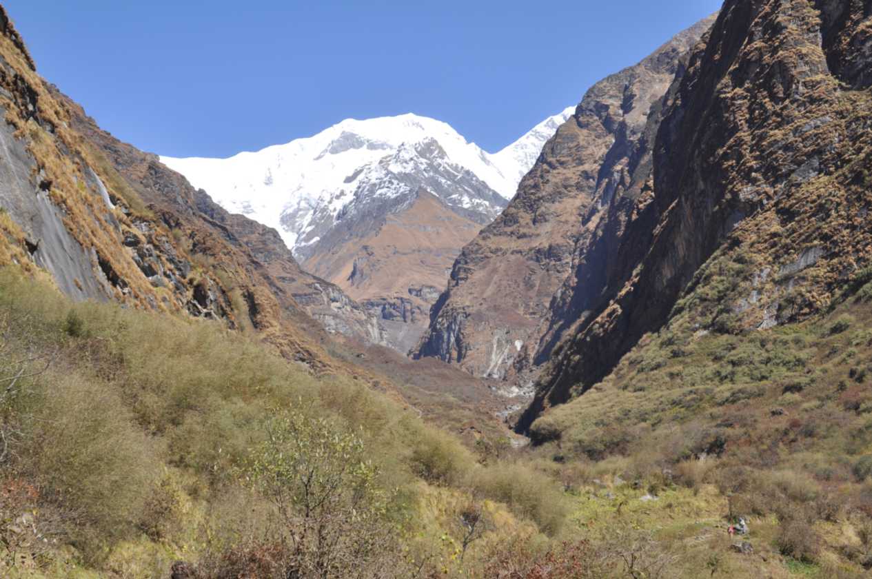12-037 Himalaya-MBC