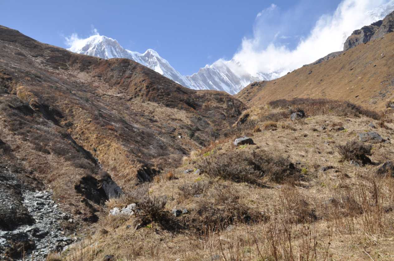12-048 Himalaya-MBC