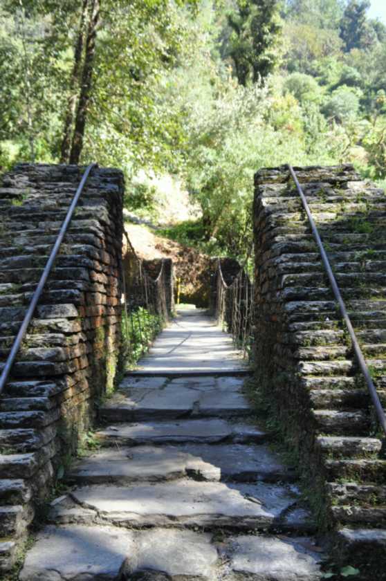 15-020 Bamboo-Jinua