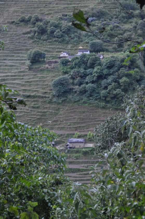 16-008 Jinua-Pothana