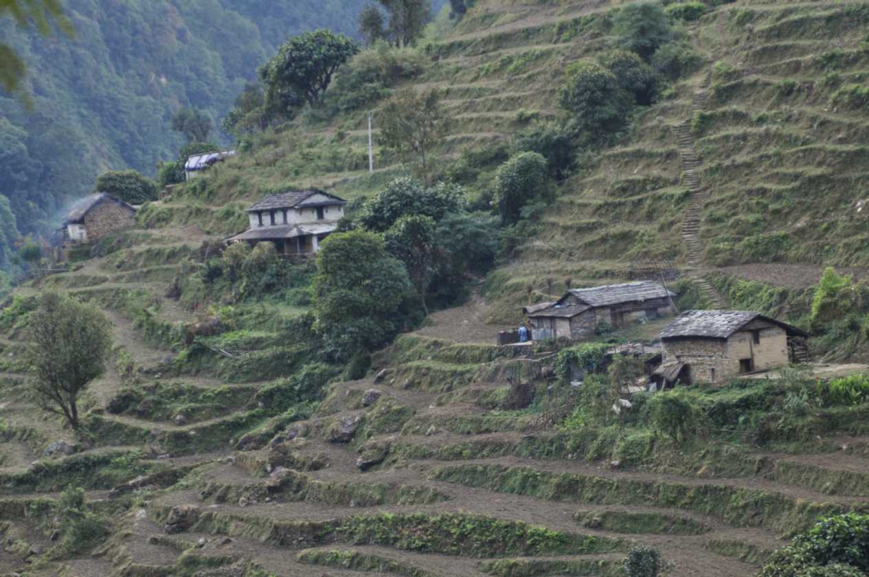 16-009 Jinua-Pothana