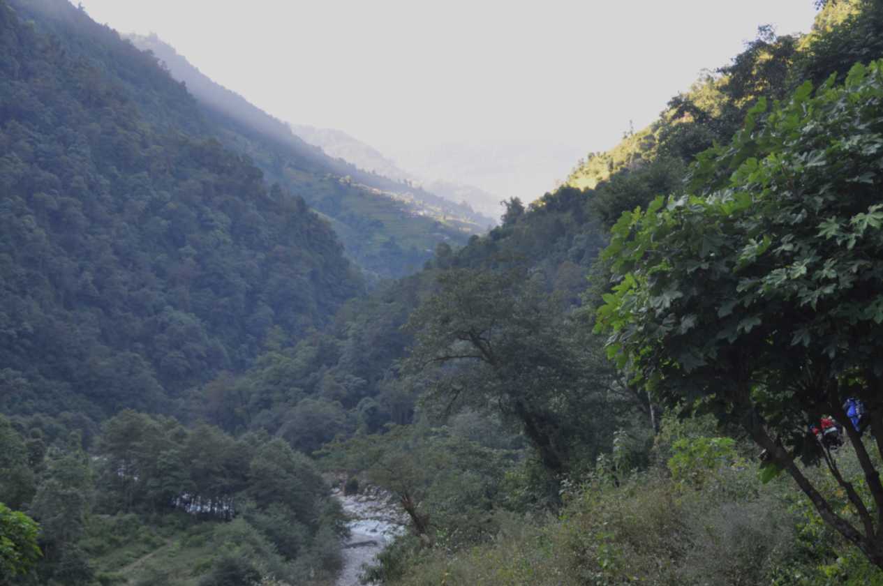 16-017 Jinua-Pothana