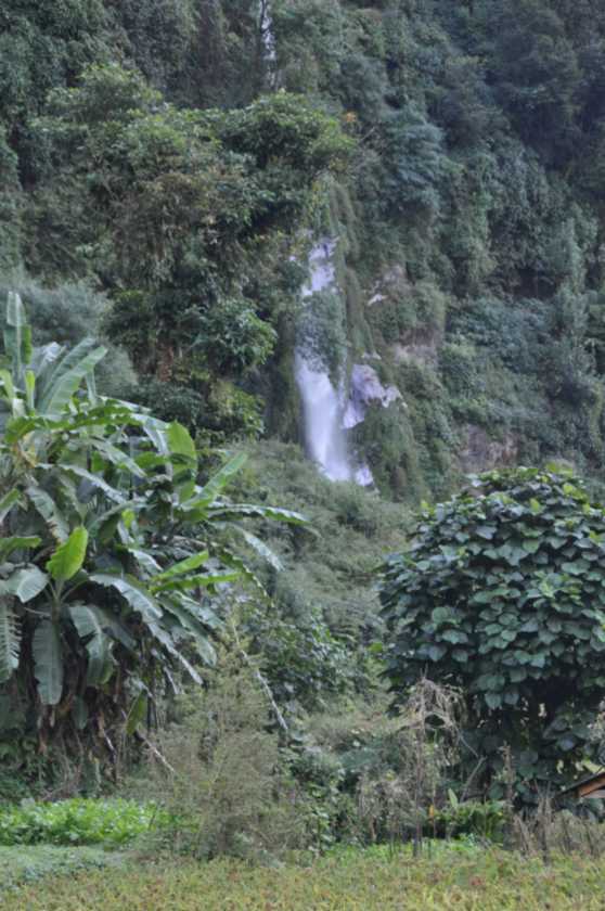 16-024 Jinua-Pothana
