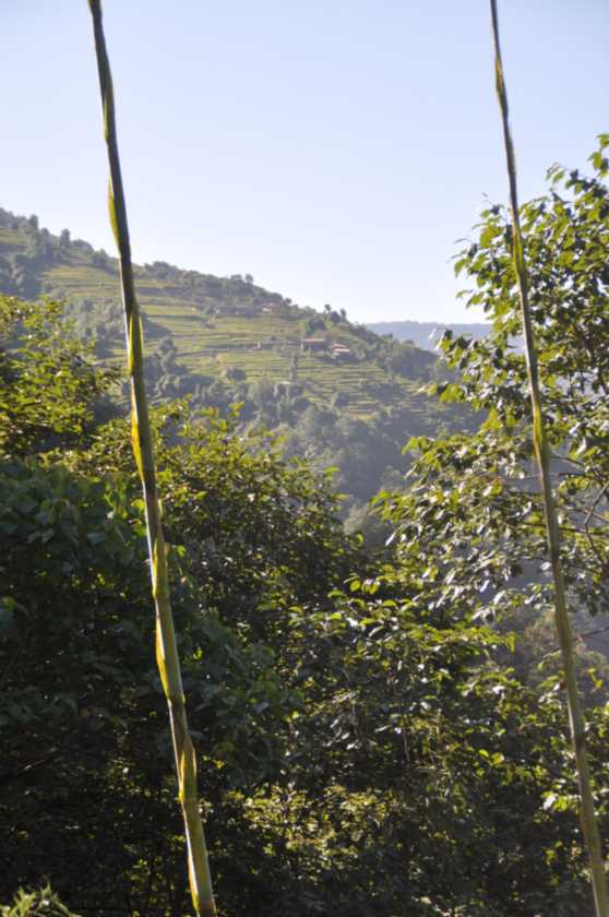 16-031 Jinua-Pothana