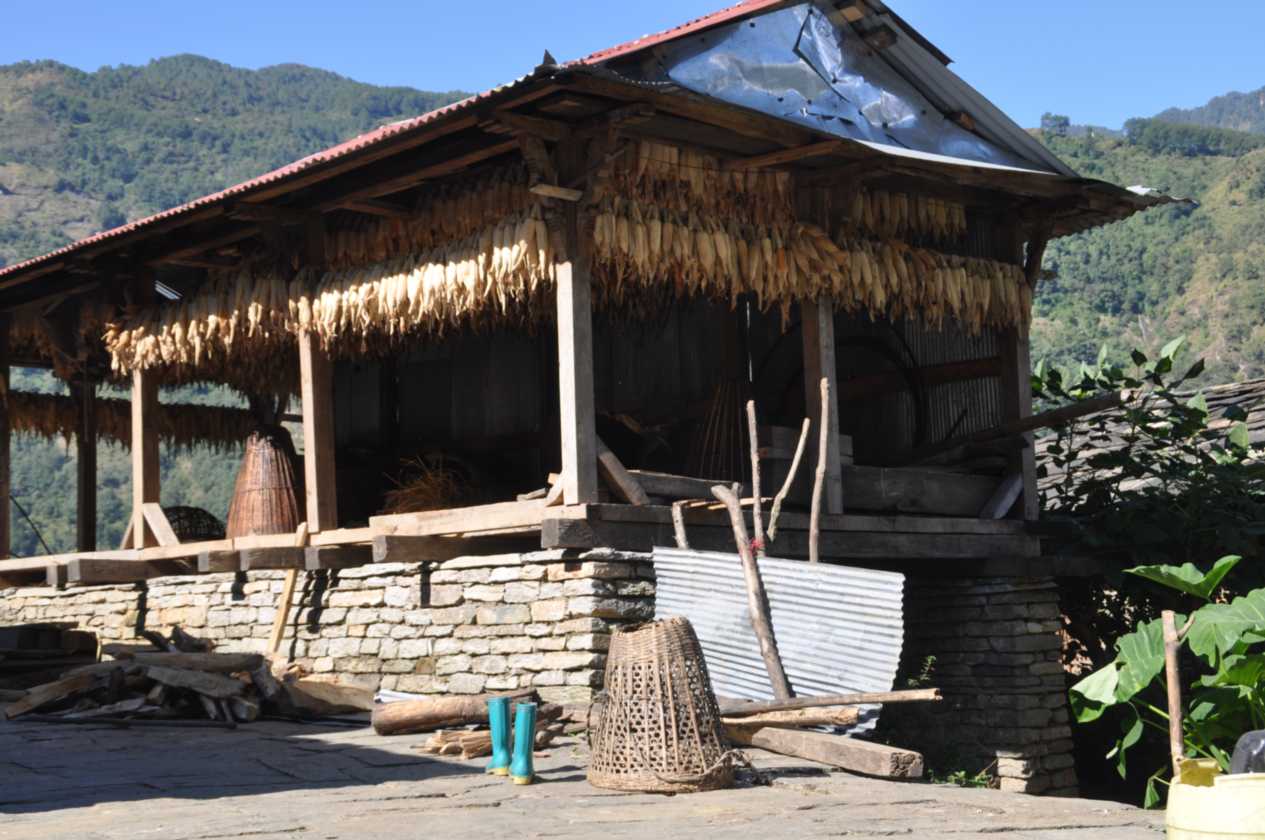 16-037 Jinua-Pothana