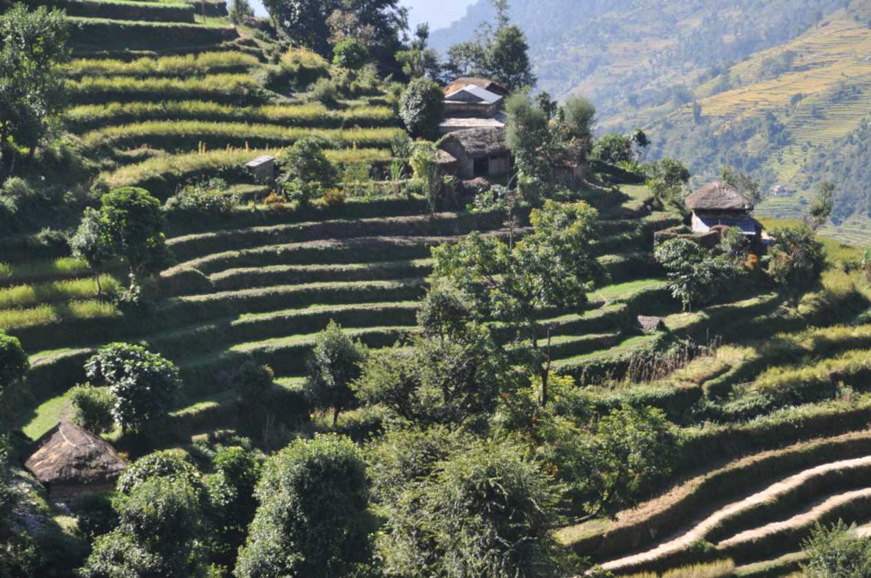 16-040 Jinua-Pothana