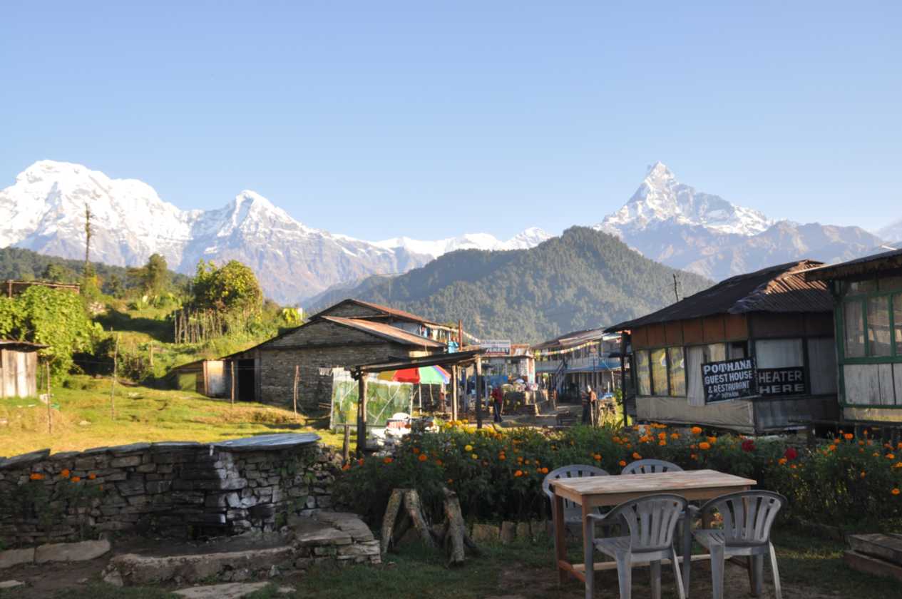 17-003 Pothana-Phedi