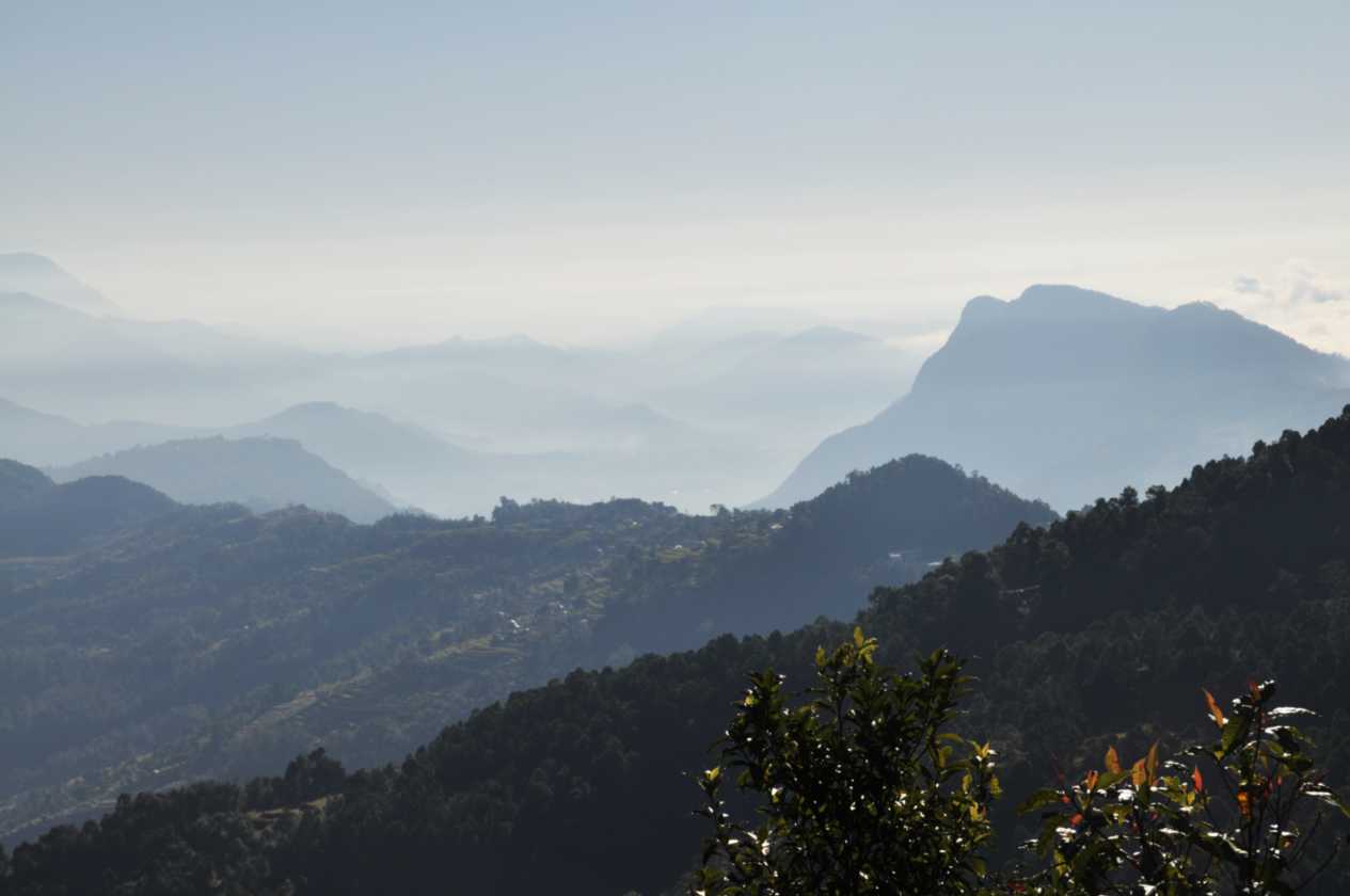 17-005 Pothana-Phedi