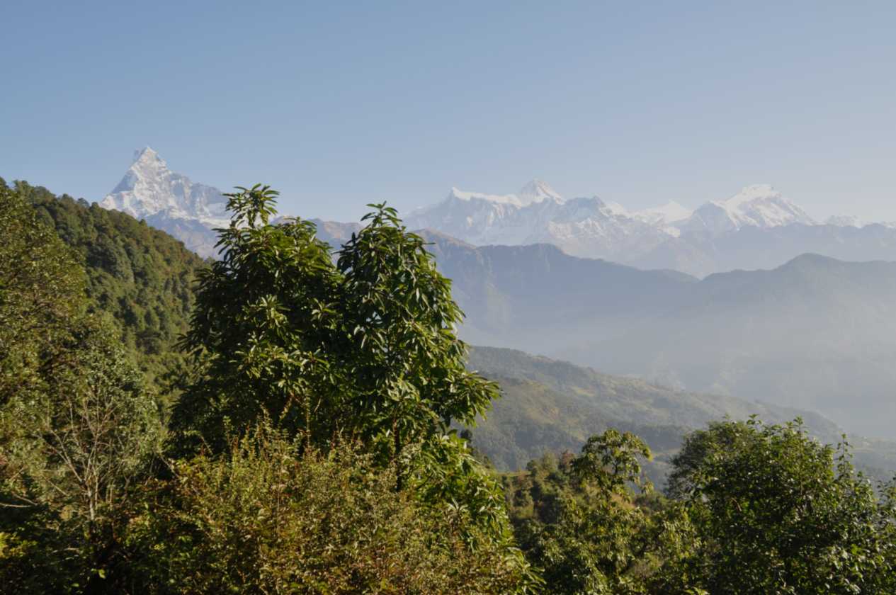 17-006 Pothana-Phedi