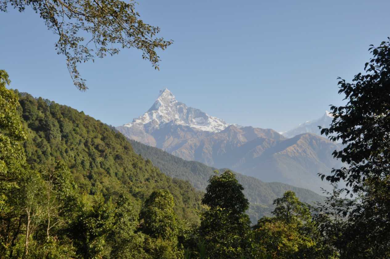 17-007 Pothana-Phedi