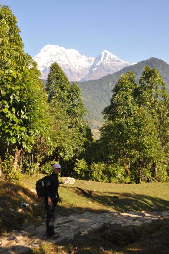 17-008 Pothana-Phedi