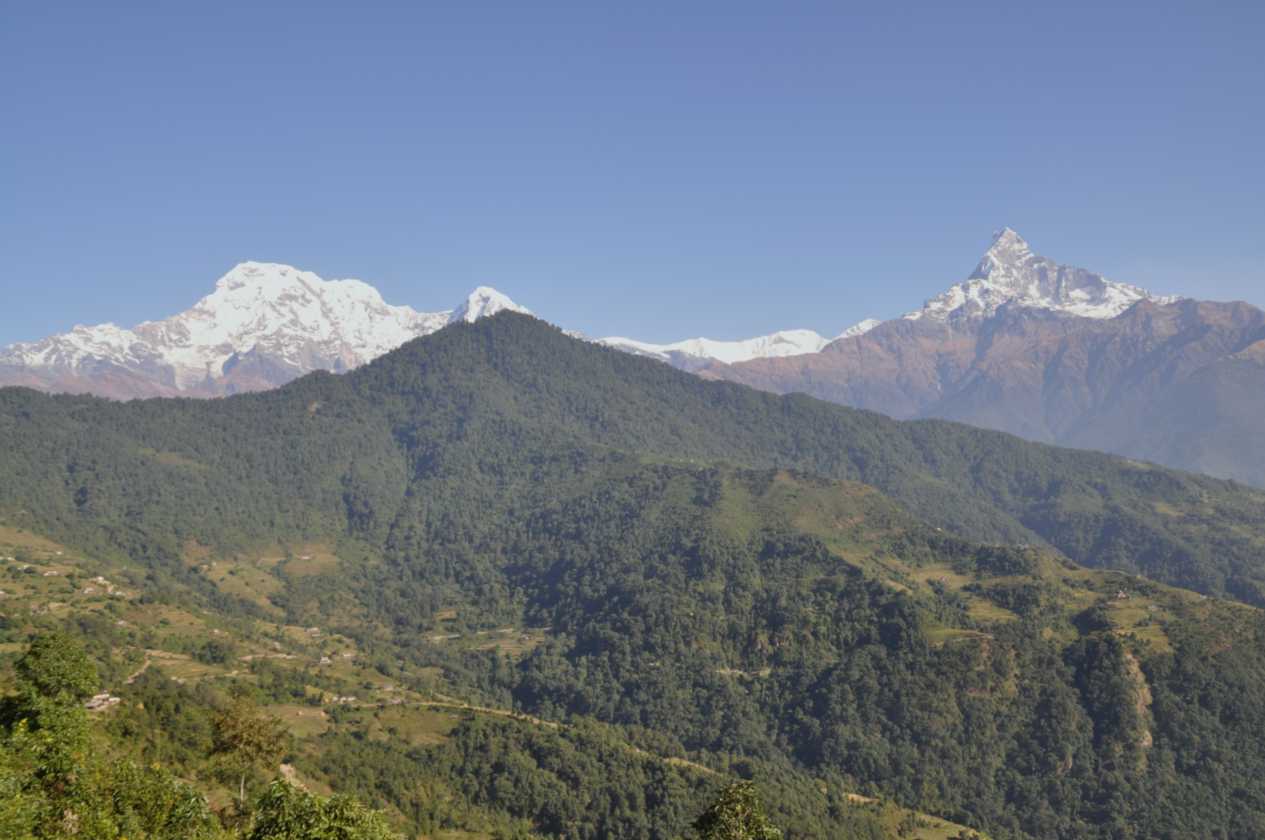 17-009 Pothana-Phedi