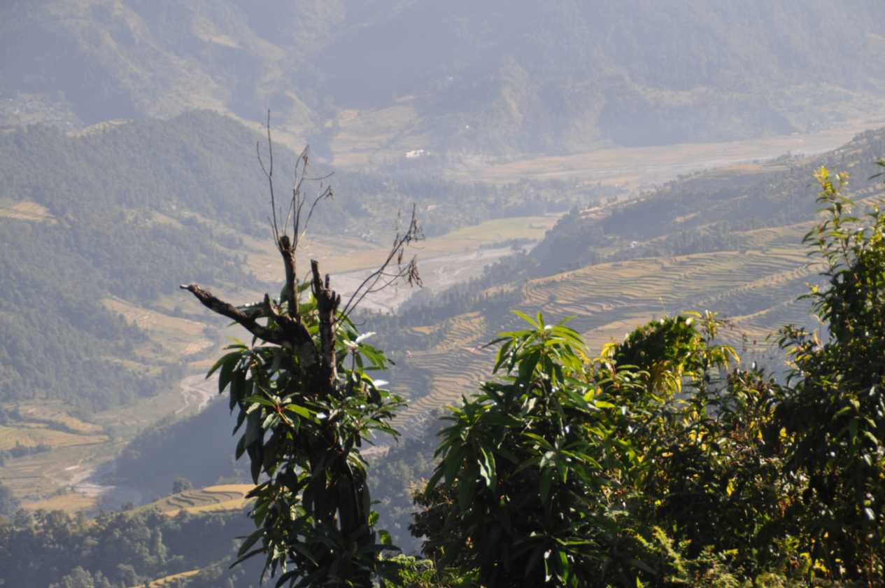 17-010 Pothana-Phedi