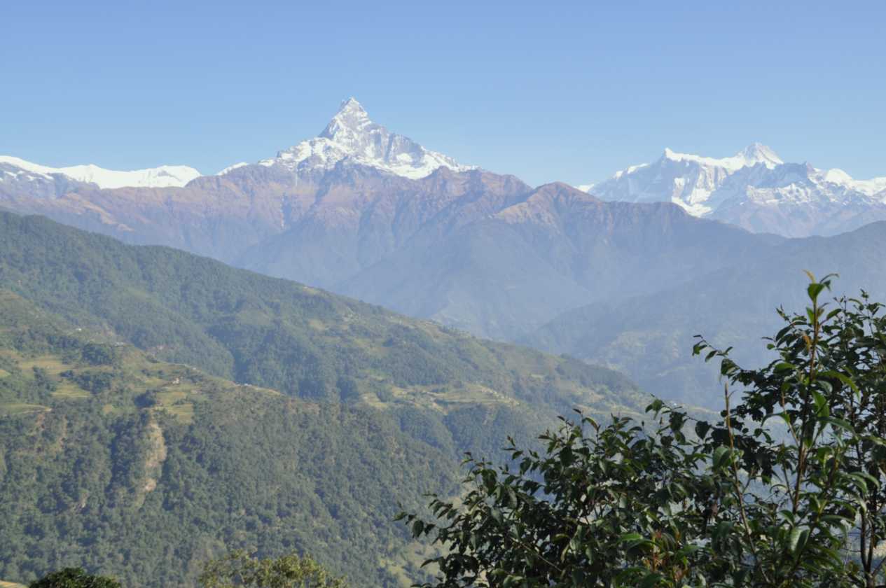 17-014 Pothana-Phedi