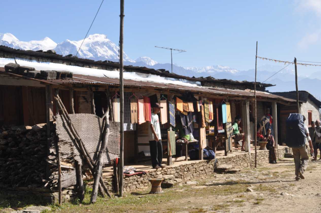 17-015 Pothana-Phedi