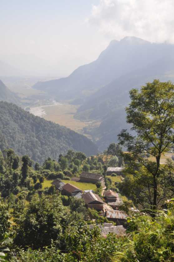17-019 Pothana-Phedi