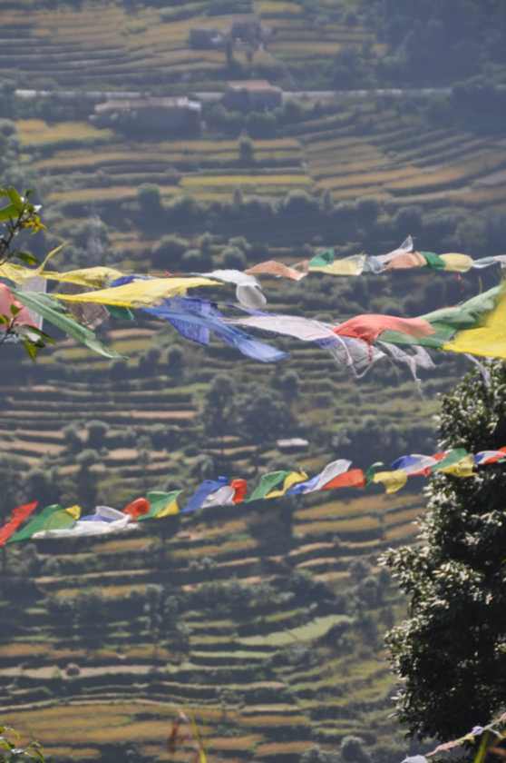 17-024 Pothana-Phedi