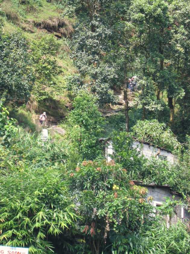 17-026 Pothana-Phedi